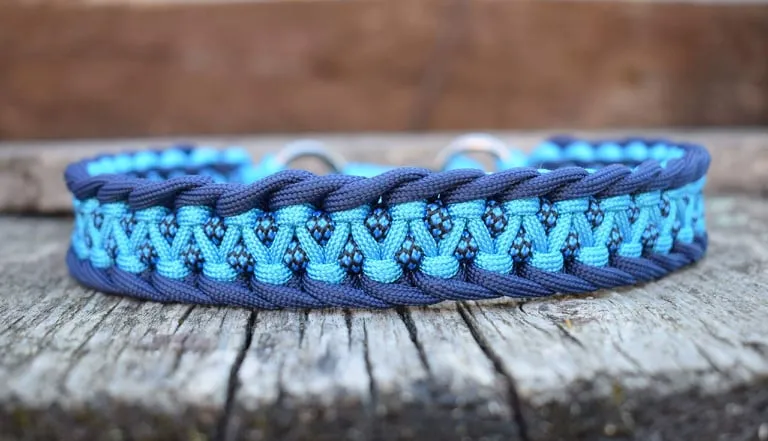 Dragon braid Dog collar