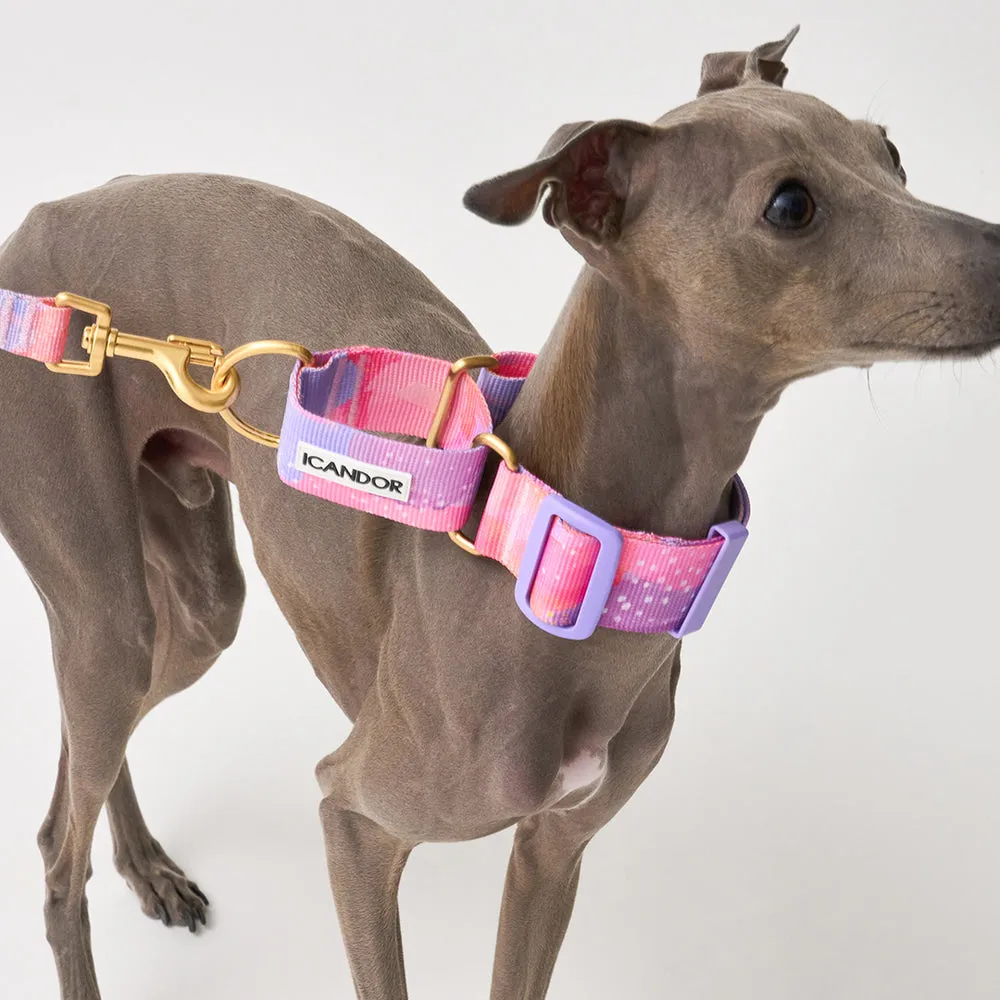 Smooth Martingale Collar 38mm (Milky Way)